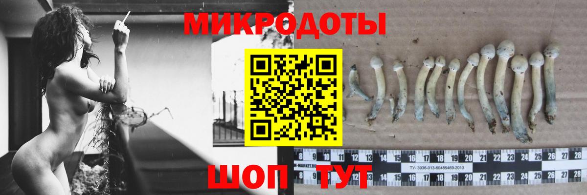 Галлюциногенные грибы ЛСД  Вход с VPN  наркота  Галлюциногенные грибы Psilocybine cubensis  Унеча 